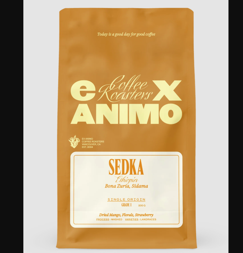 Photo of Ex Animo Ethiopia Sedka Washed Filter