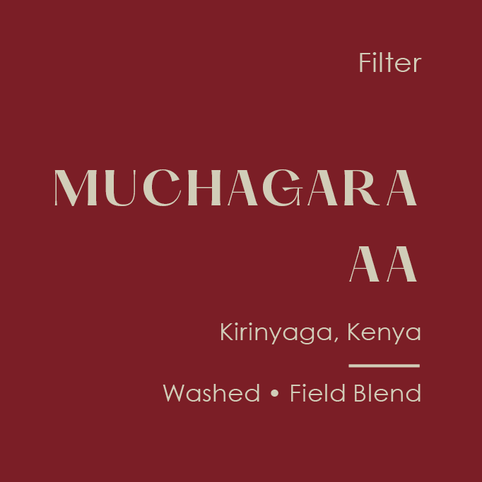 Subtext Kenya Muchagara AA *Filter*