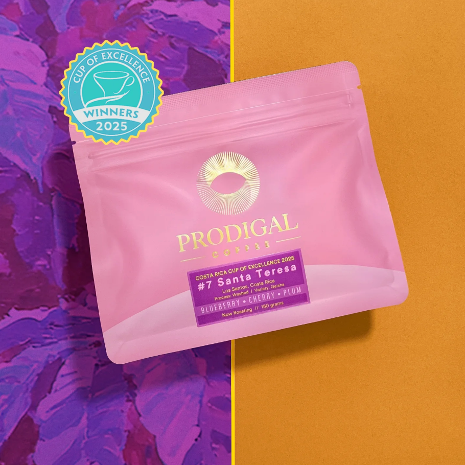 Prodigal COE #7 Costa Rica Santa Teresa Geisha *Cup of Excellence Filter*