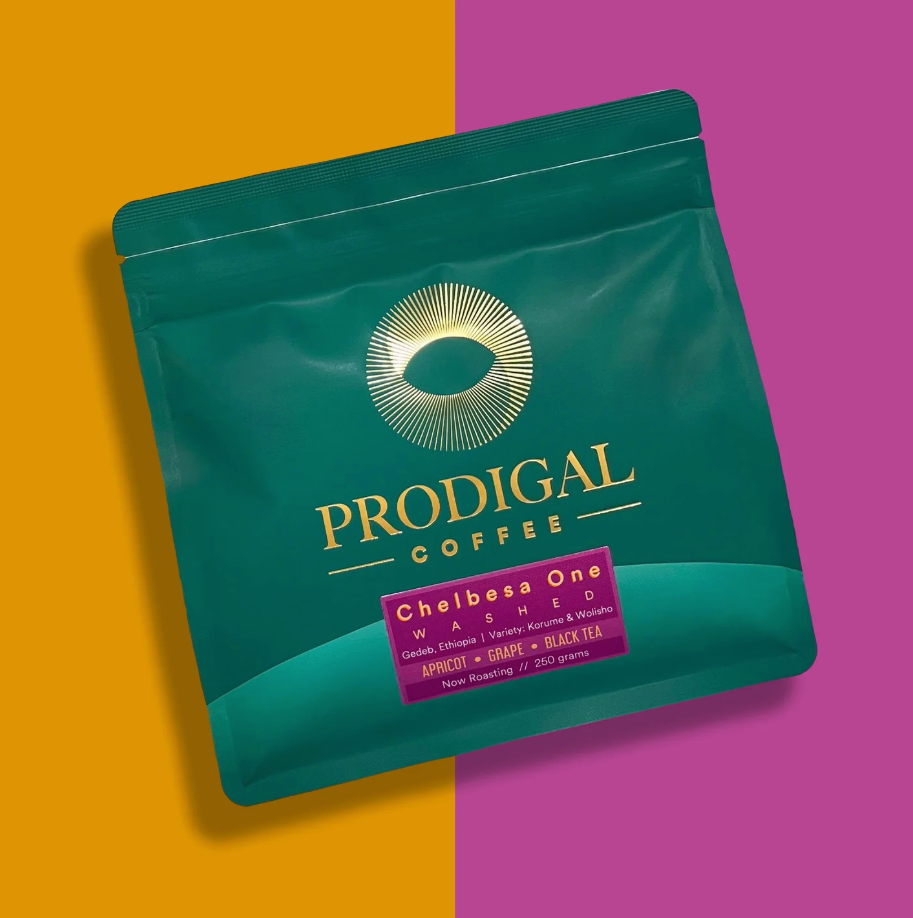 Photo of Prodigal Ethiopia Chebelsa One